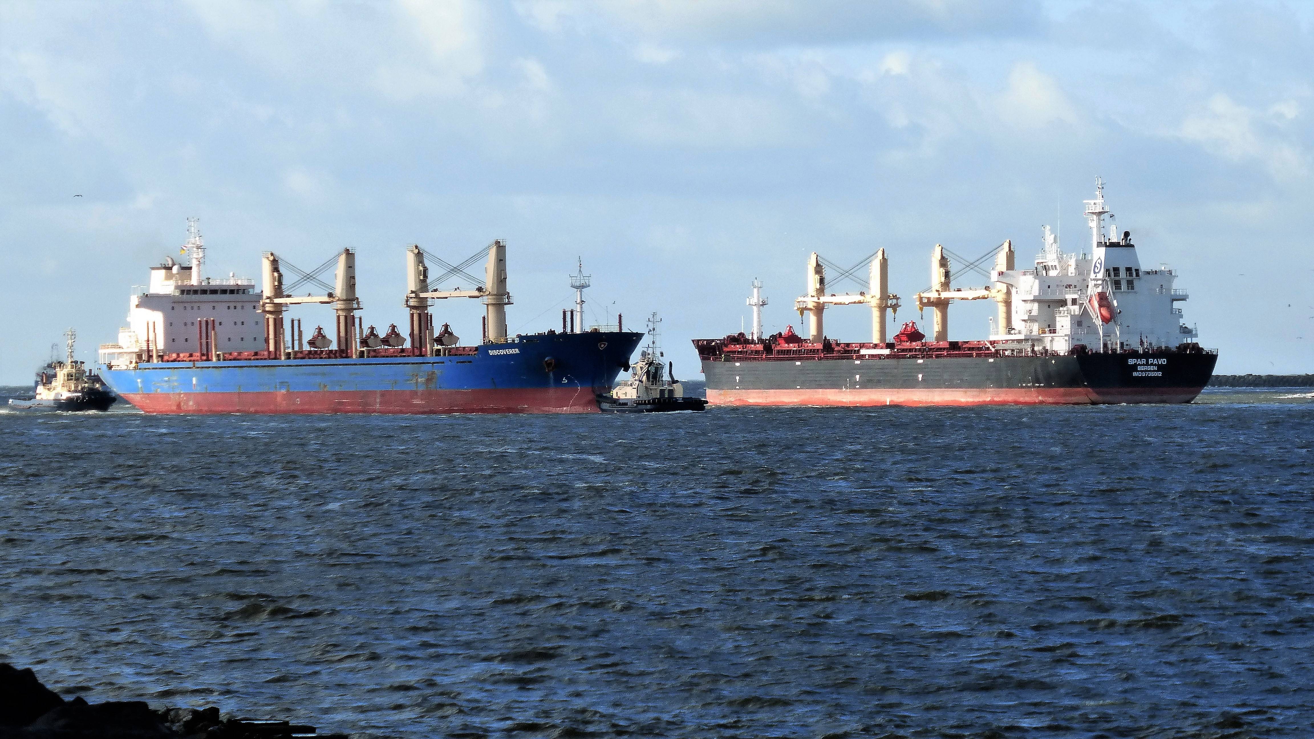 Pieren IJmuiden 01-02-18 